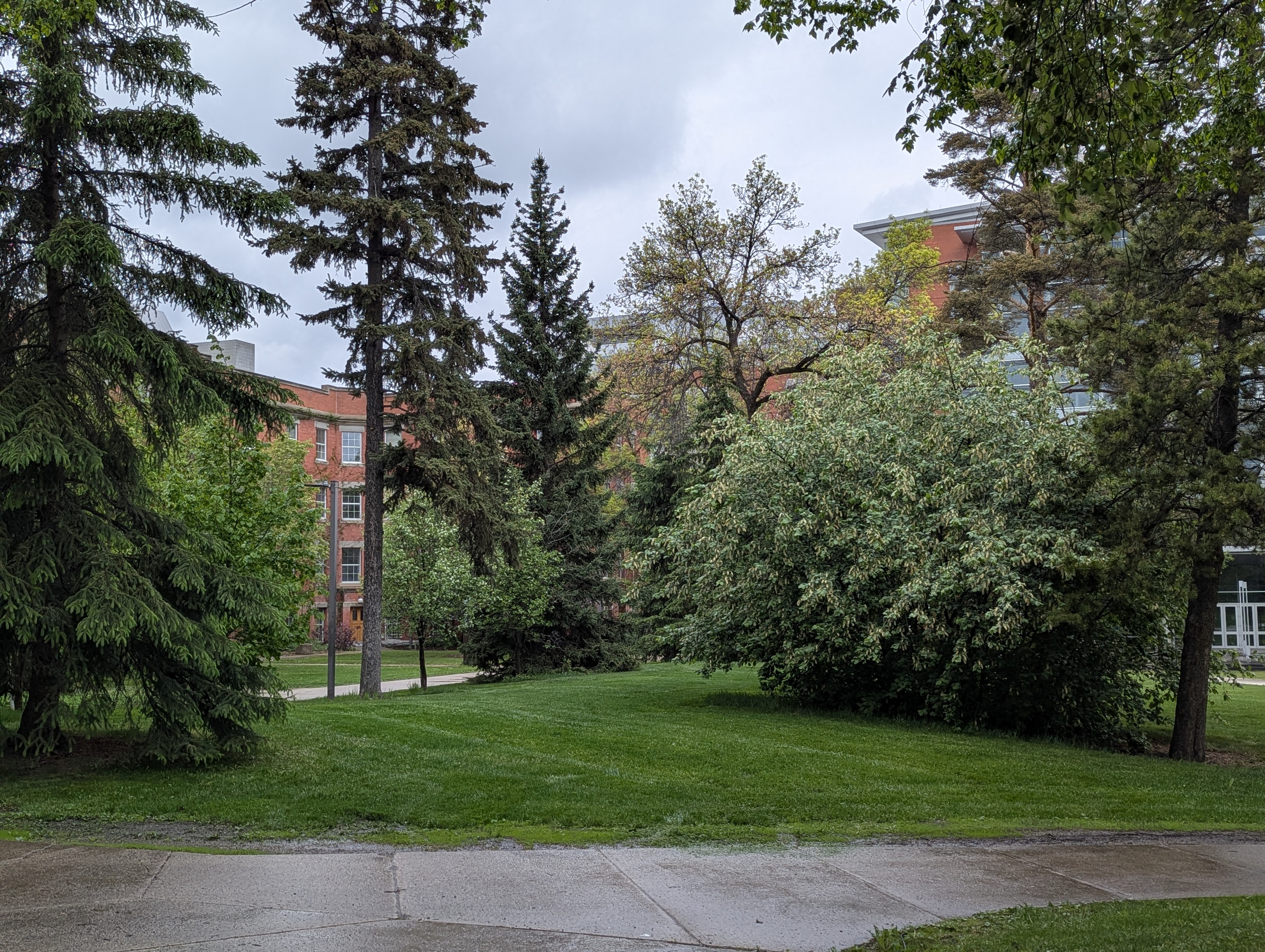 Birthday Trip to Canada, University of Alberta